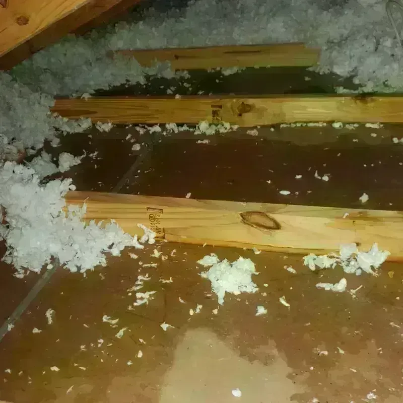 Attic Water Damage in Hampton, IA