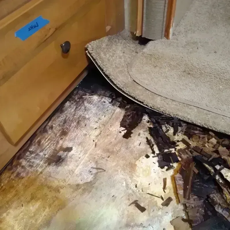 Wood Floor Water Damage in Hampton, IA